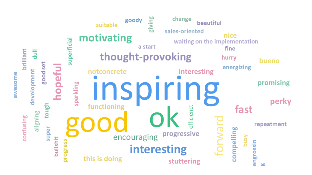 A screenshot of a word cloud produced with the survey tool Mentimeter. The word cloud comes from an online video workshop.